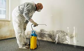  Sa De Oro Mount Helix, CA Mold Removal Services Pros